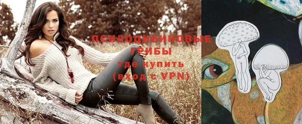 героин Богданович
