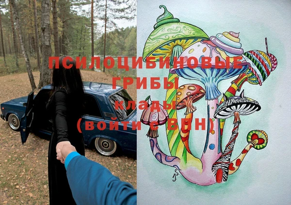 гидропоника Богородицк
