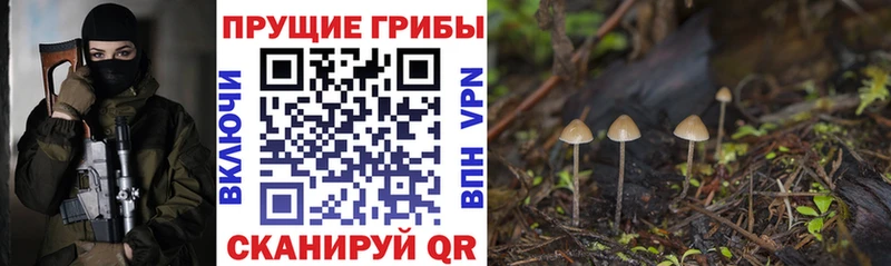 Купить закладки  Касимов  Псилоцибиновые грибы прущие грибы 